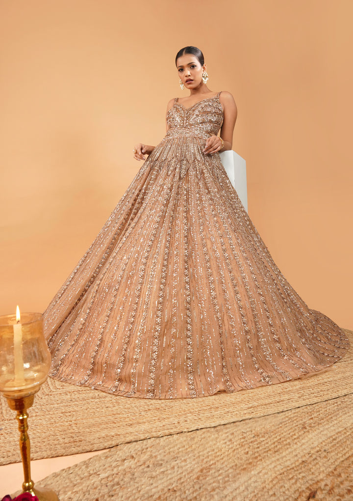 Gold Silver Stonework Net Gown