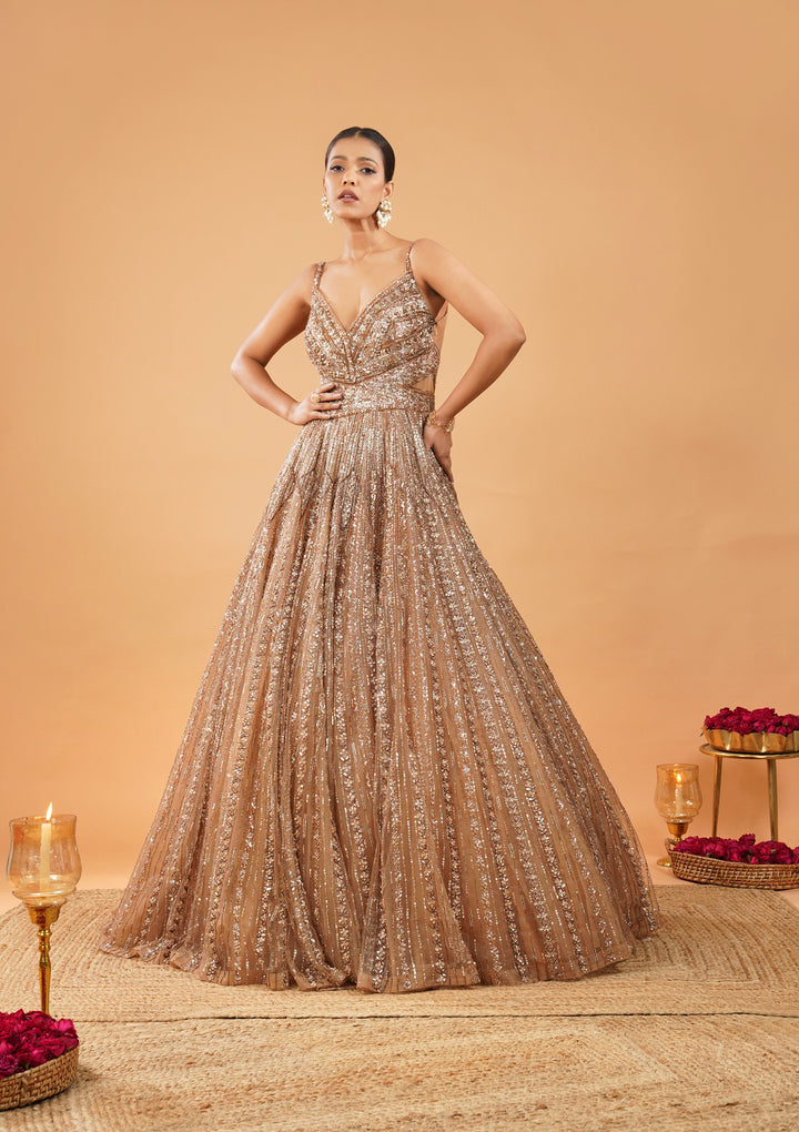 Gold Silver Stonework Net Gown