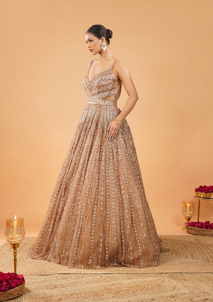 Gold Silver Stonework Net Gown