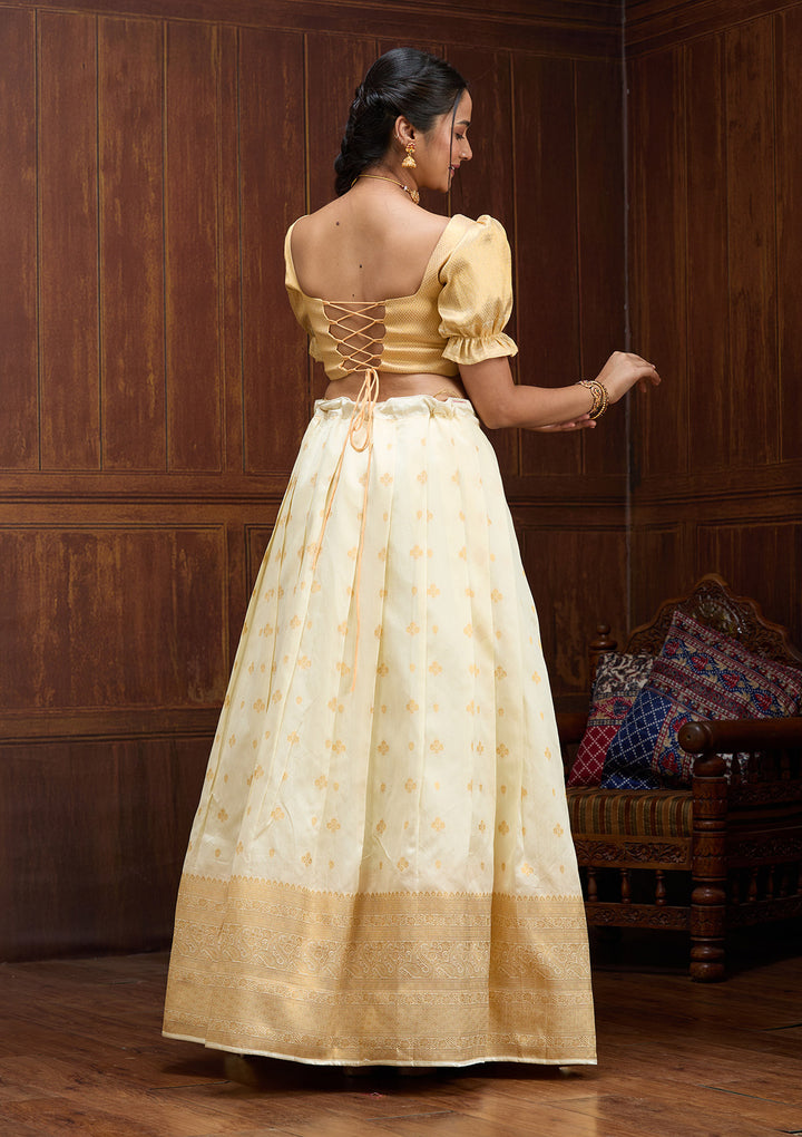 Off White  Banarasi Semi-Stitched Lehenga