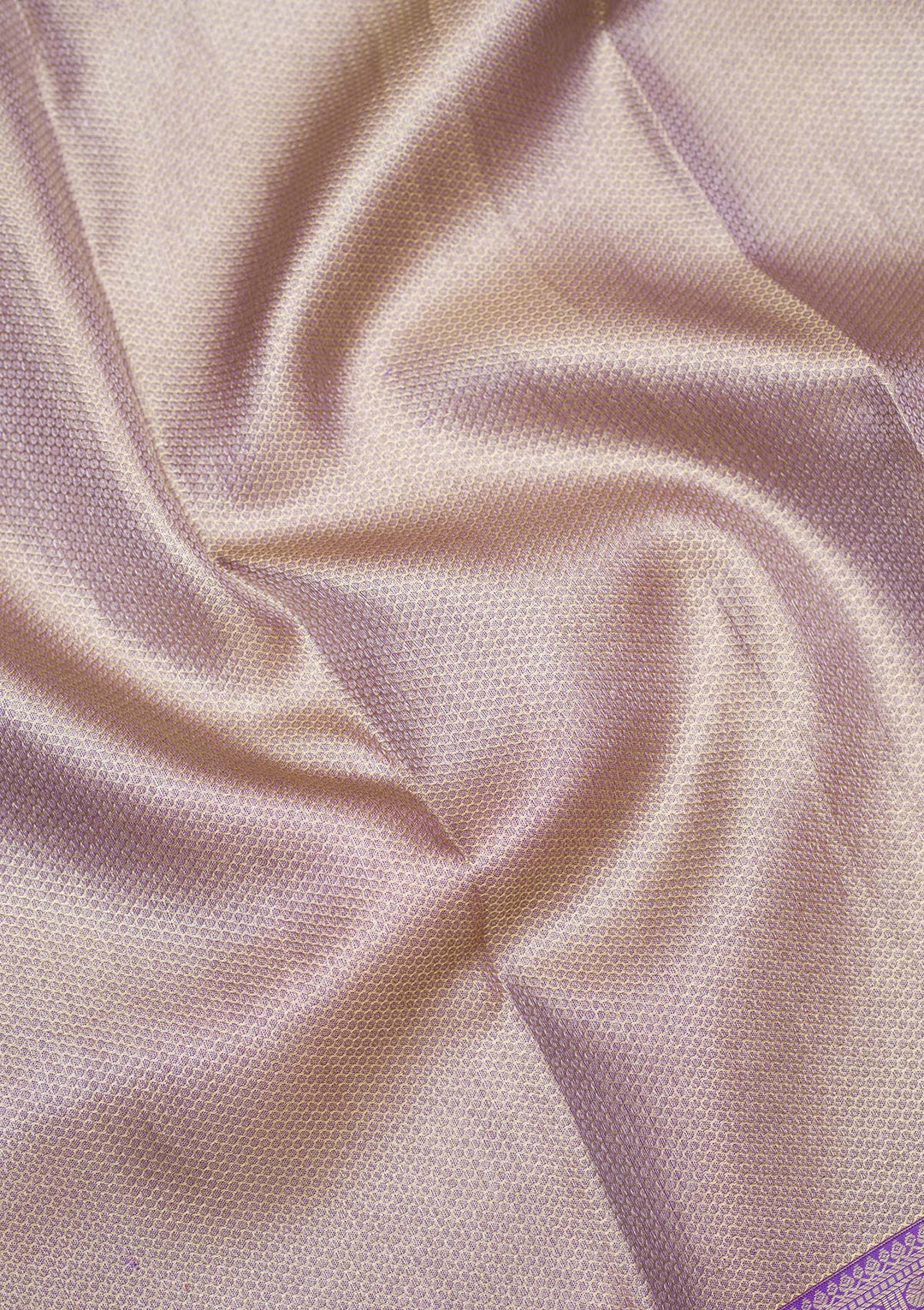 Beige Zariwork Pure Silk Saree