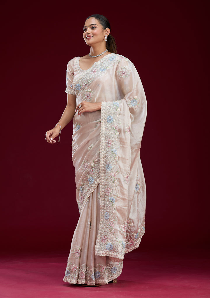 Beige Zariwork Tissue Saree