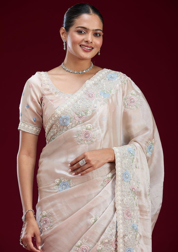 Beige Zariwork Tissue Saree