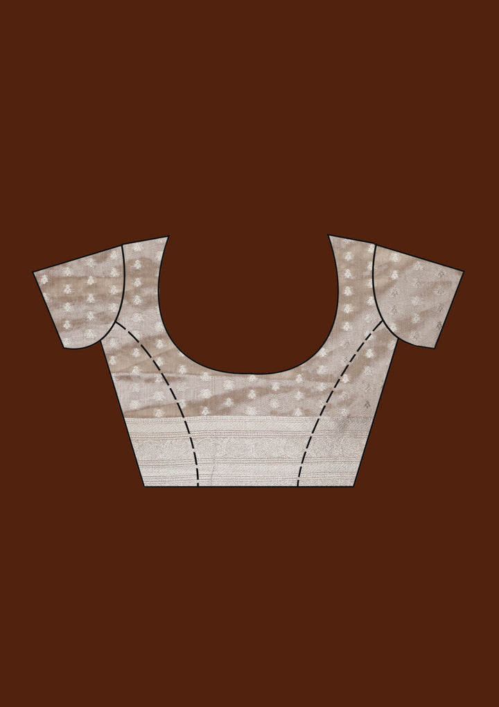 Beige Zariwork Tissue Saree