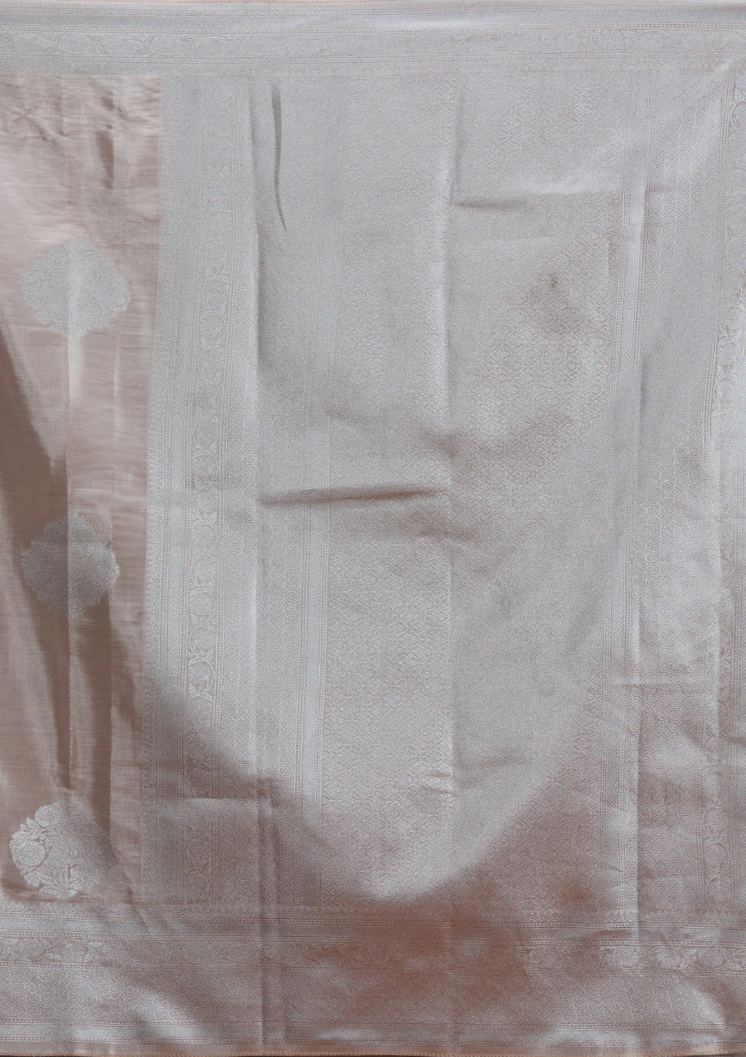 Beige Zariwork Tissue Saree