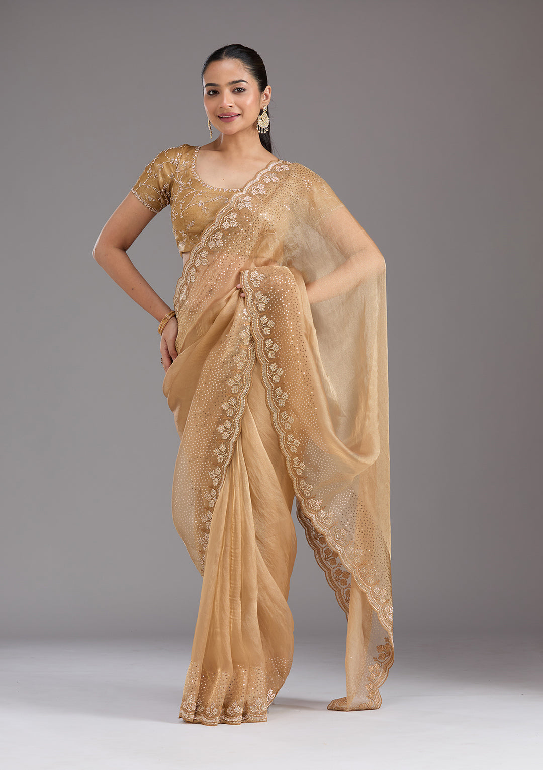 Gold Stonework Tissue Saree