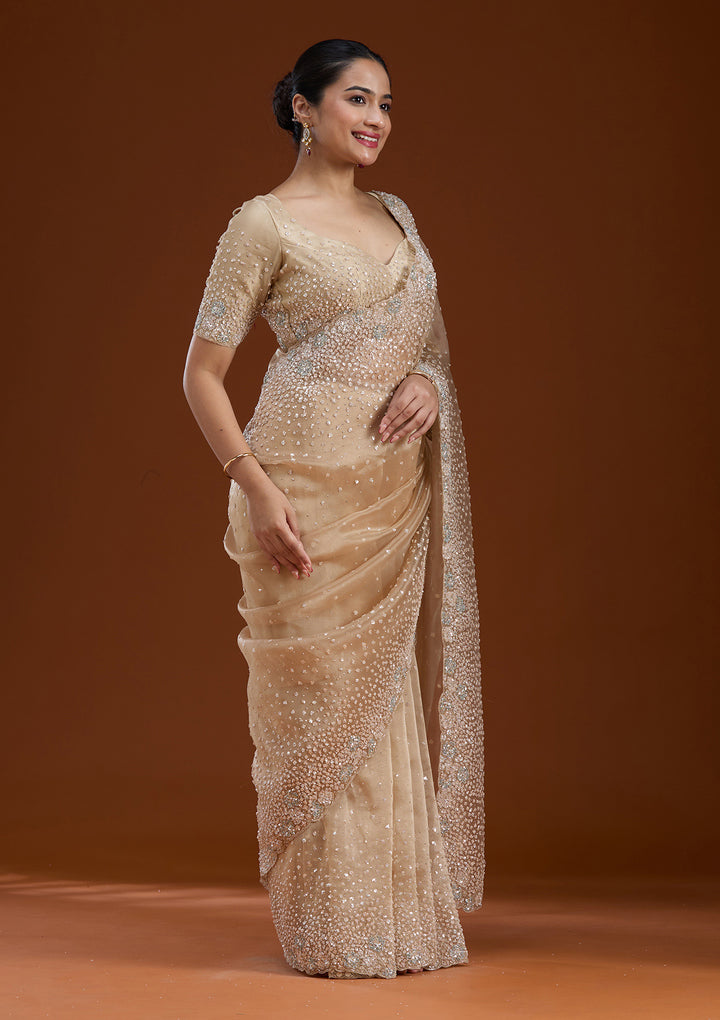 Beige Sequins Tissue Saree