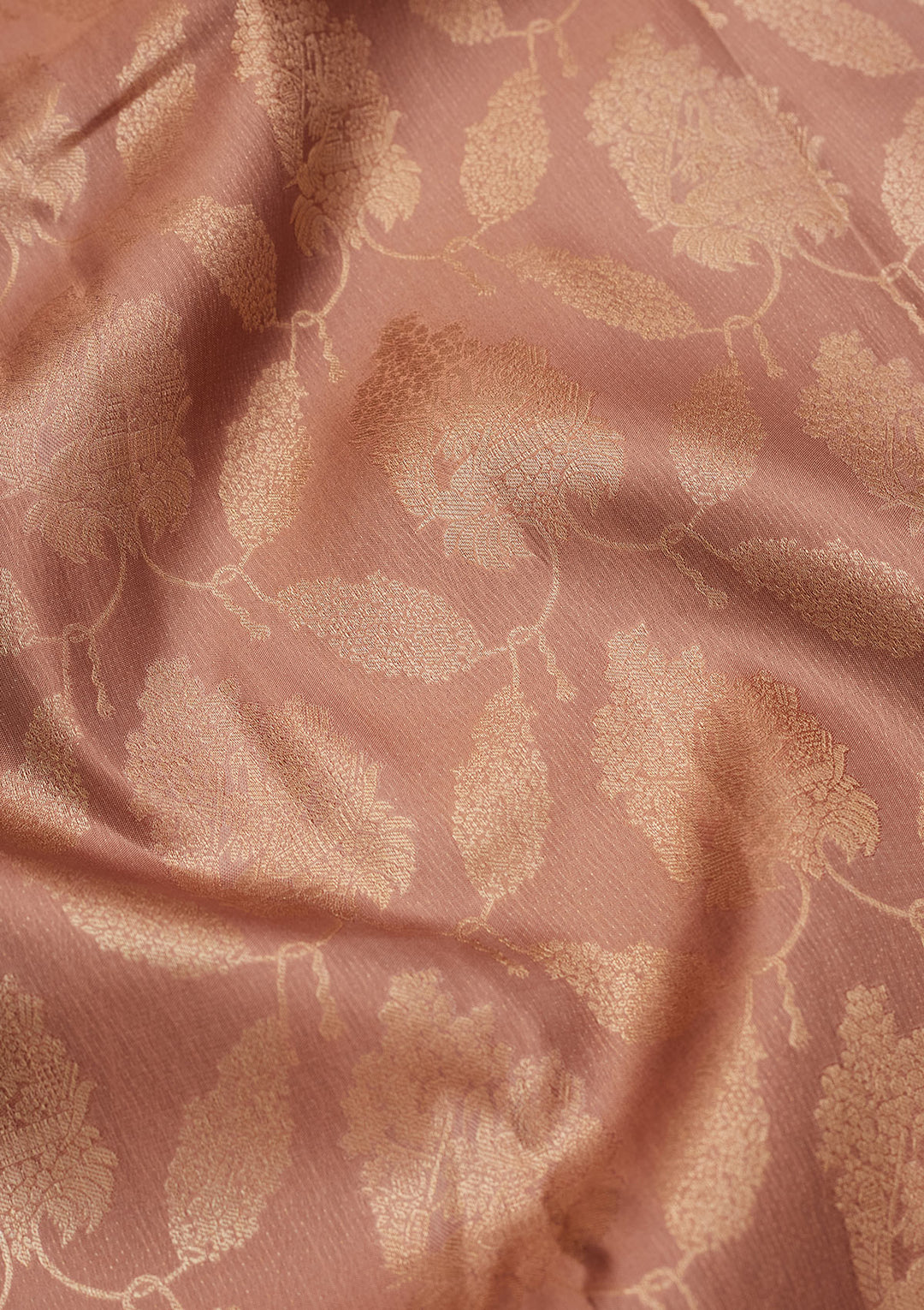 Beige Zariwork Pure Silk Saree