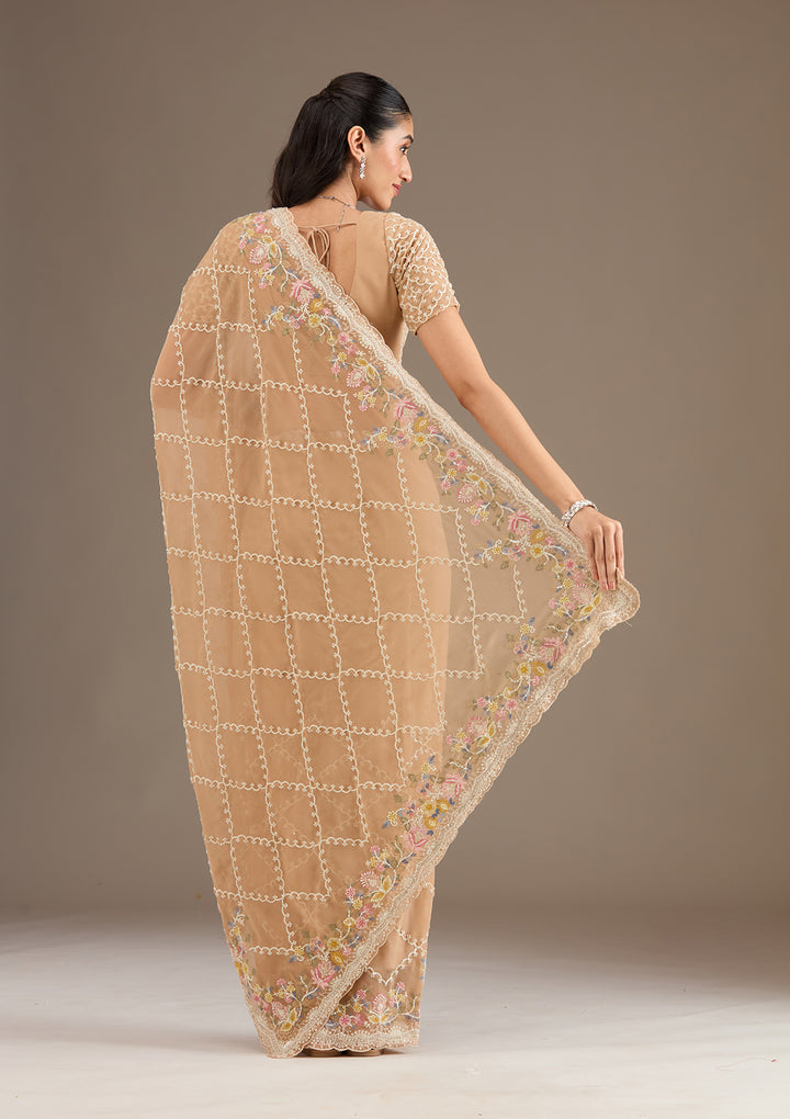 Beige Stonework Tissue Saree