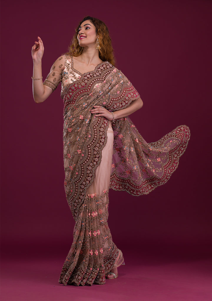 Light Brown Stonework Net Saree