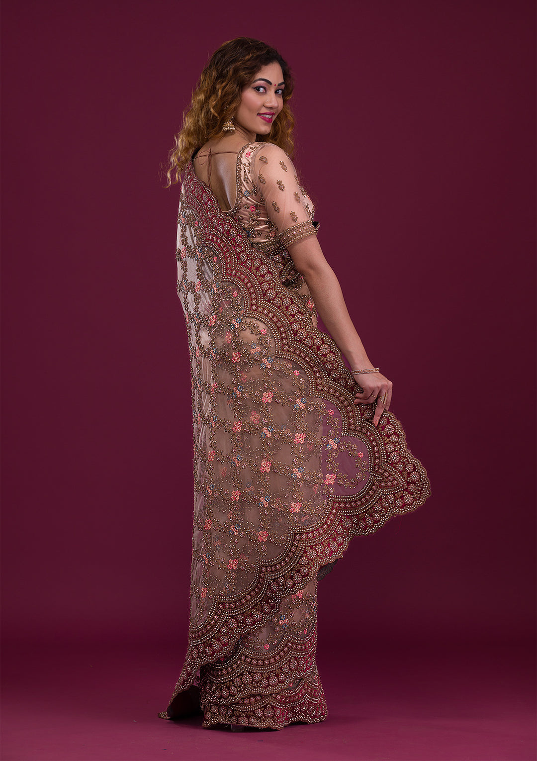Light Brown Stonework Net Saree