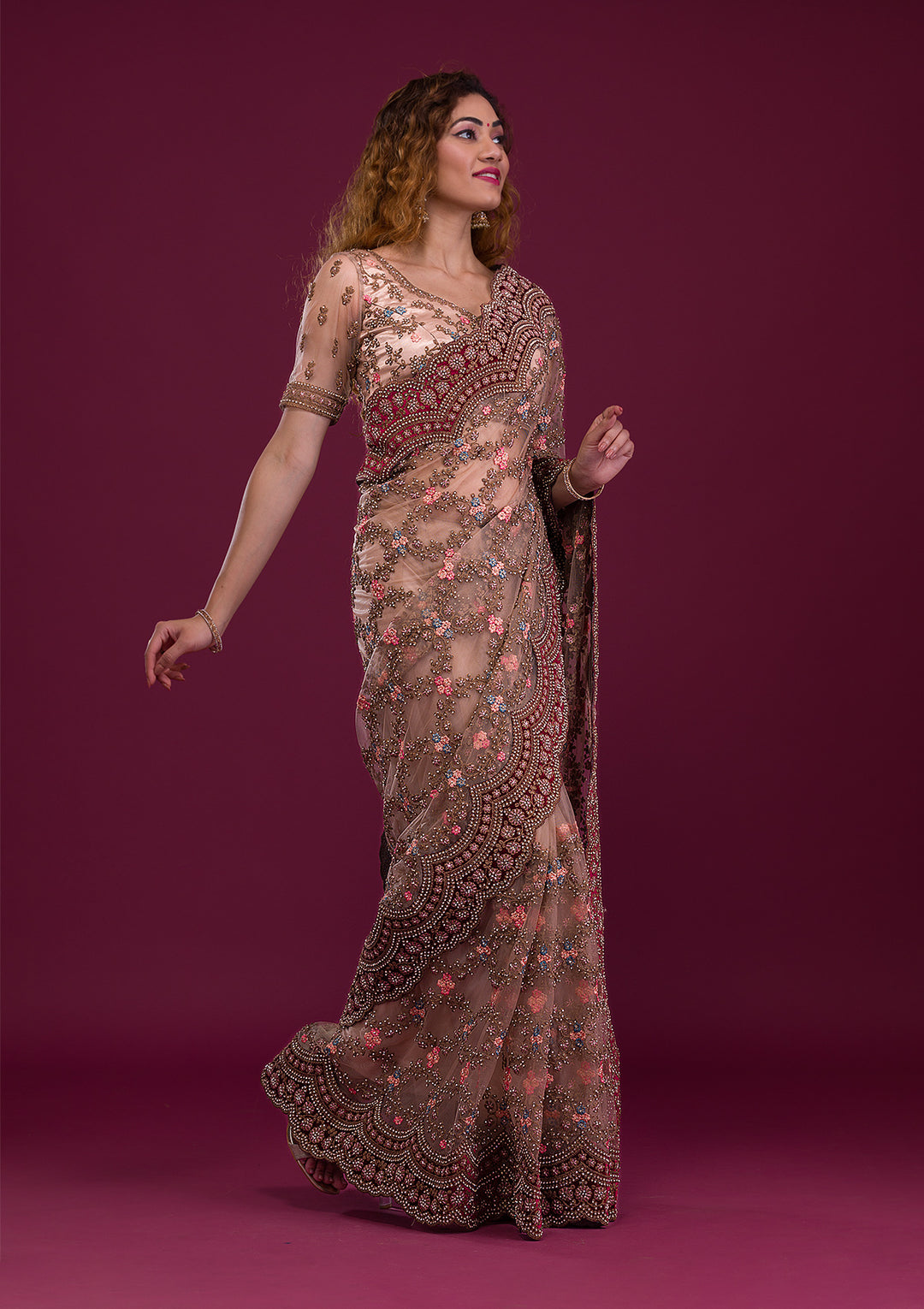 Light Brown Stonework Net Saree