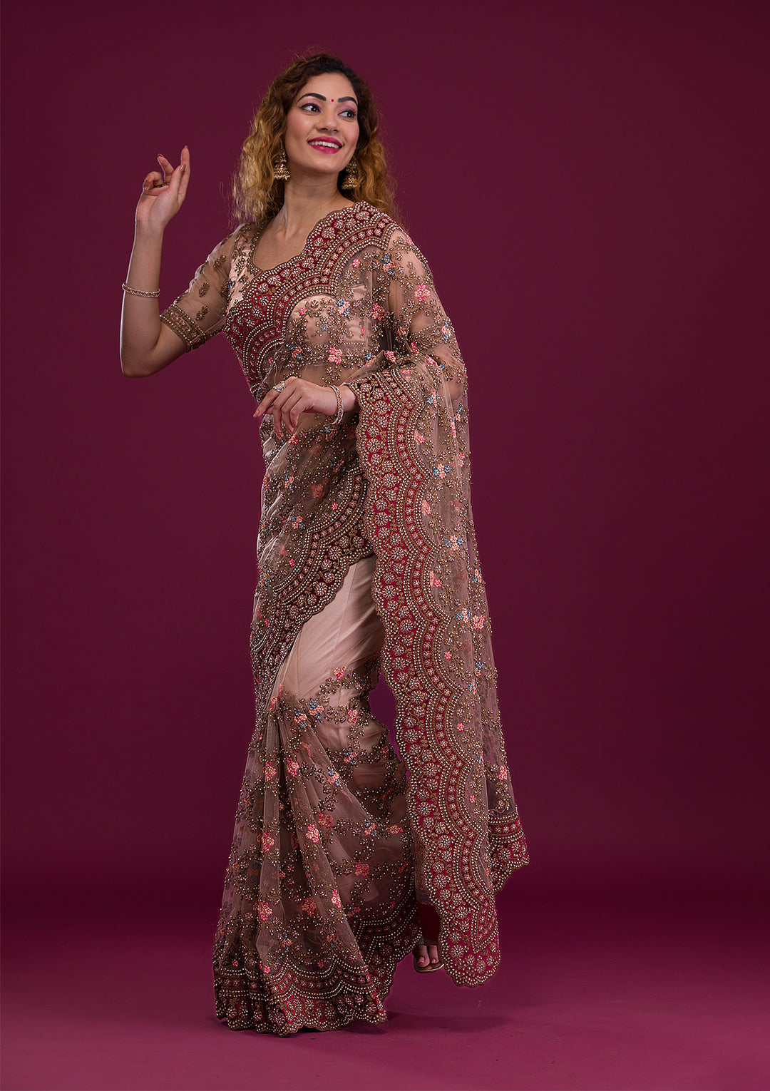 Light Brown Stonework Net Saree