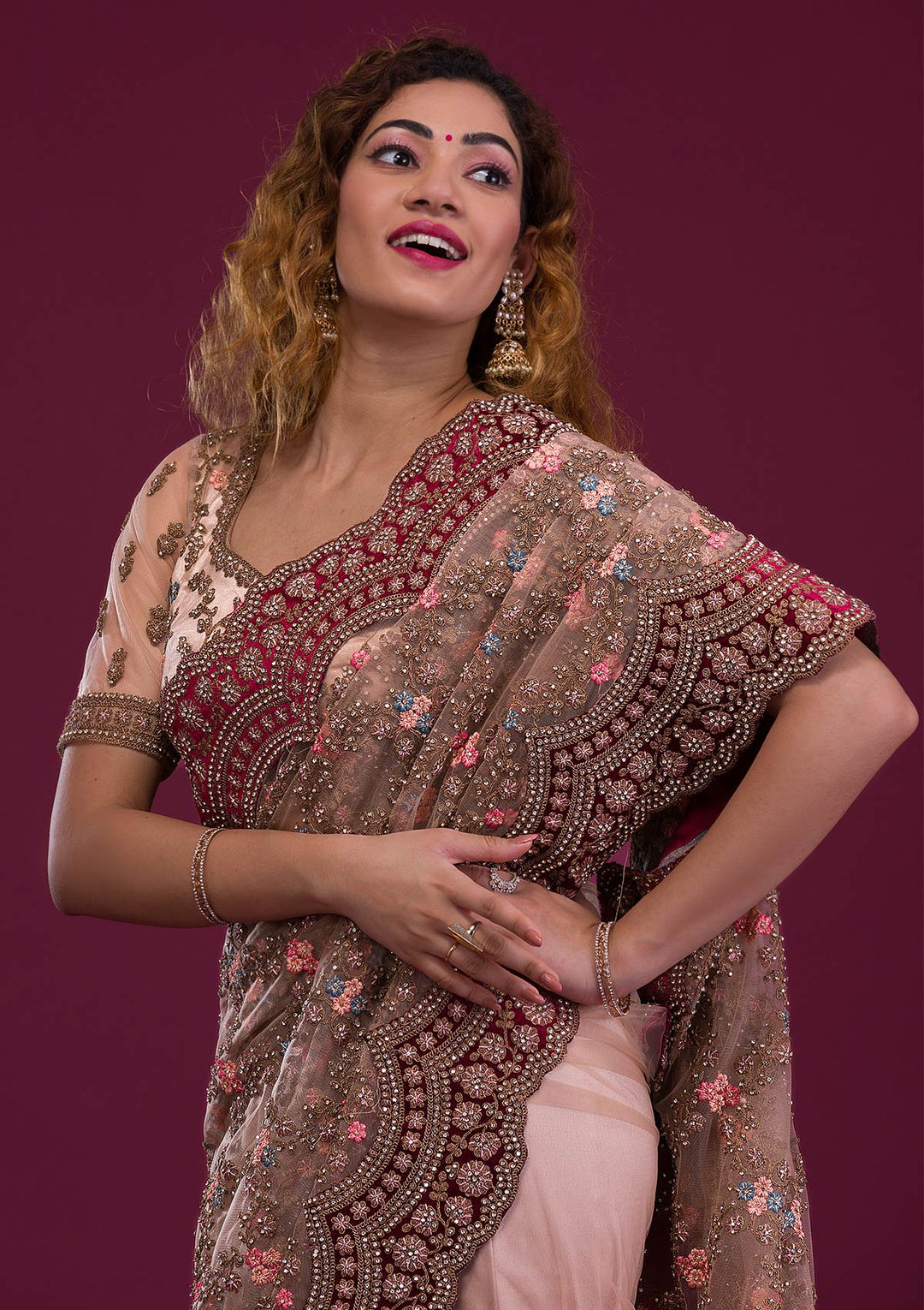 Light Brown Stonework Net Saree