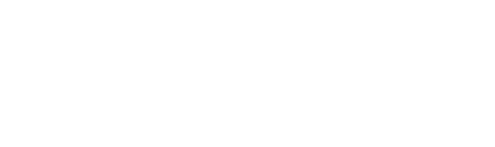 Koskii Logo