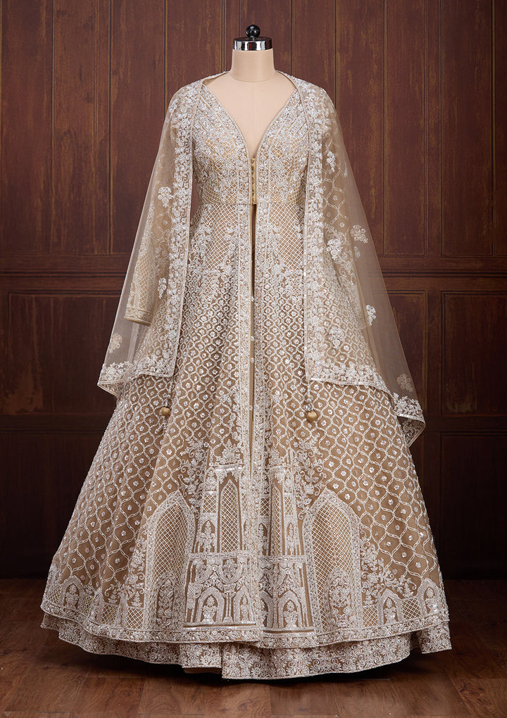 Beige Silver Zariwork Net Readymade Lehenga