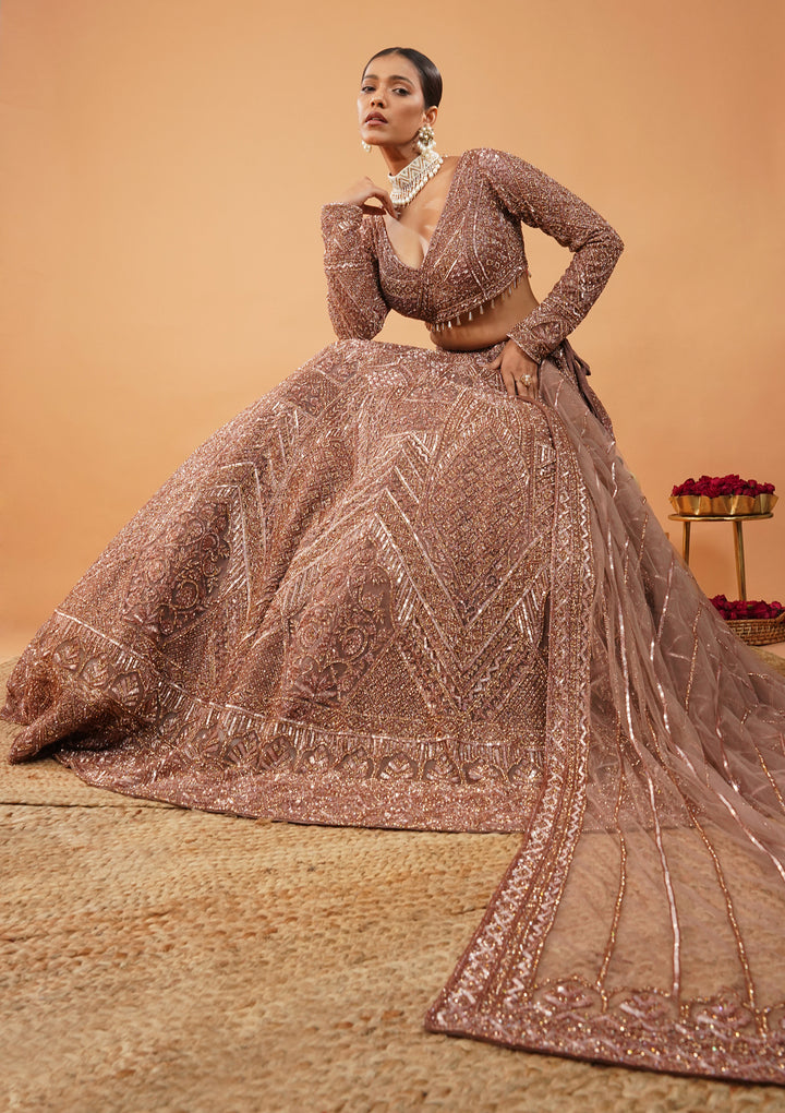 Rust Stonework Net Readymade Lehenga