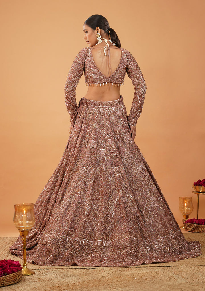 Rust Stonework Net Readymade Lehenga