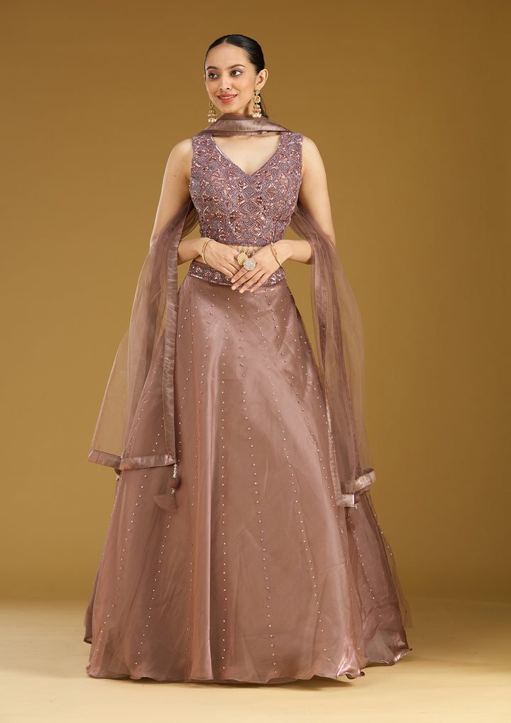 Light Brown Sequins Net Readymade Lehenga