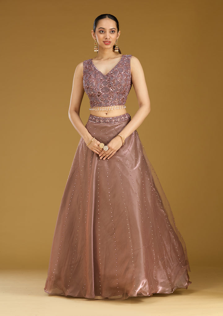 Light Brown Sequins Net Readymade Lehenga