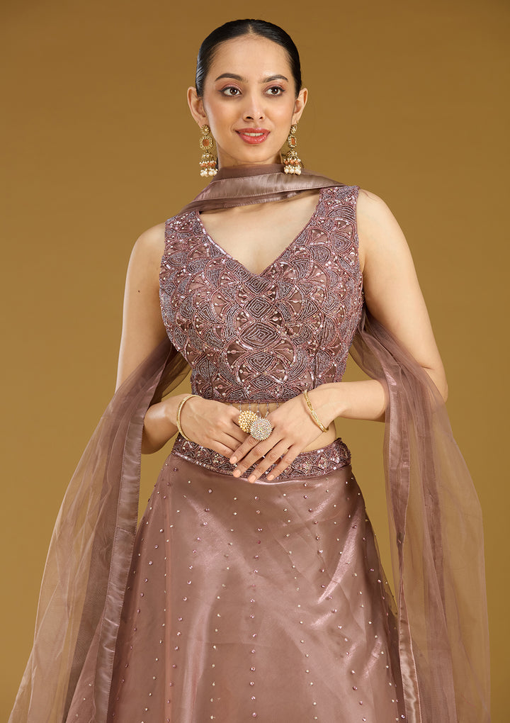 Light Brown Sequins Net Readymade Lehenga