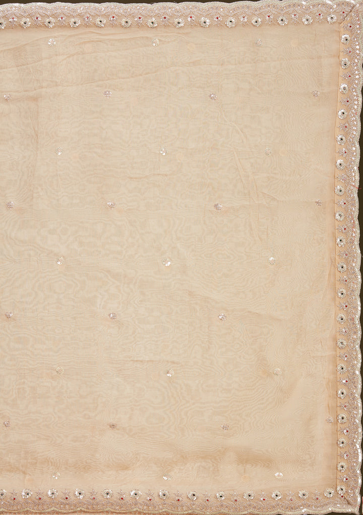 Beige Stonework (Gold) Tissue Readymade Lehenga