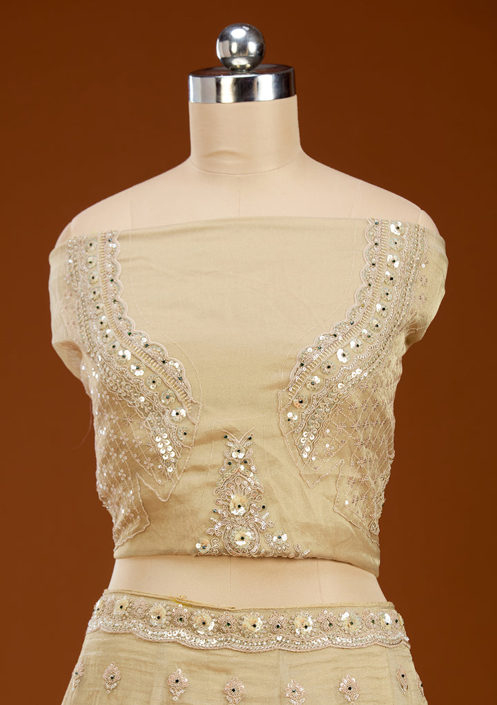 Beige Stonework (Gold) Tissue Readymade Lehenga