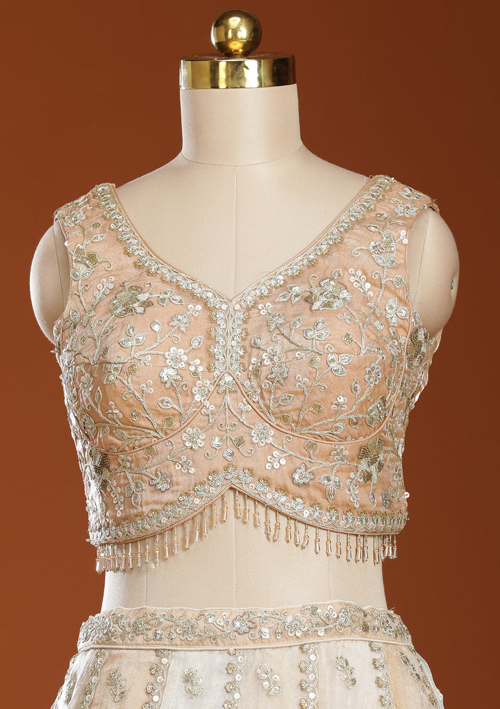 Off White Zariwork Organza Semi-Stitched Lehenga