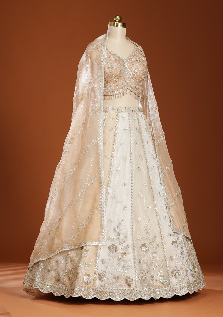 Off White Zariwork Organza Semi-Stitched Lehenga