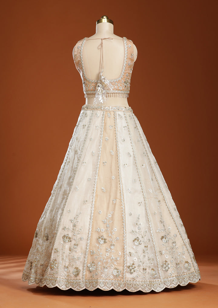 Off White Zariwork Organza Semi-Stitched Lehenga