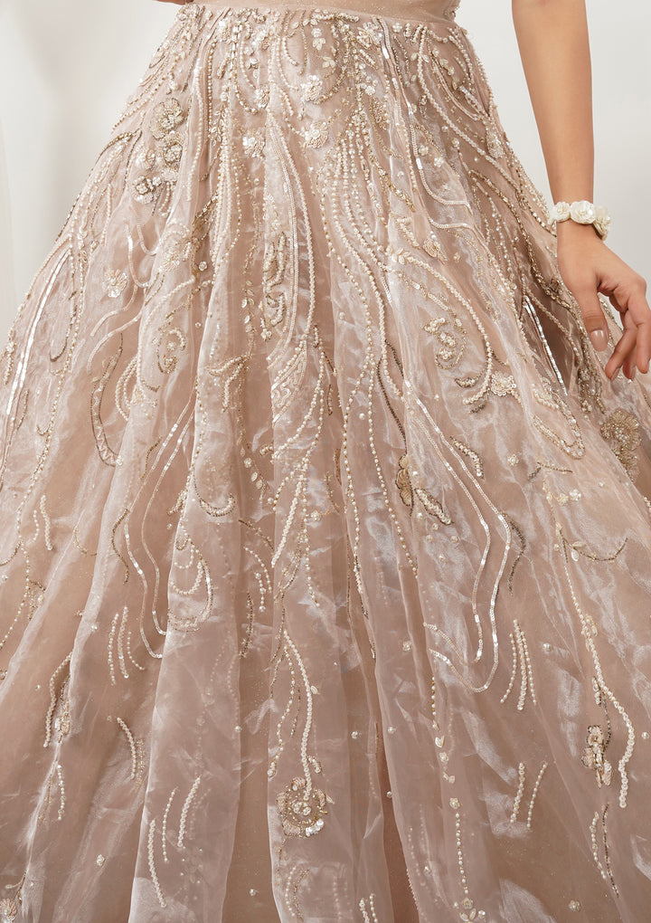 Beige Pearlwork Tissue Gown
