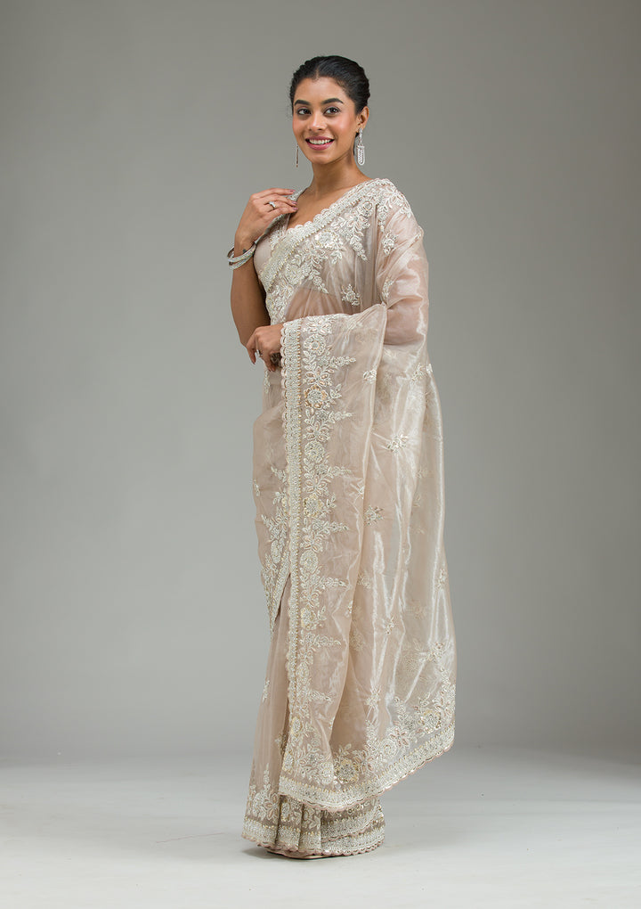 Beige Zariwork Tissue Saree