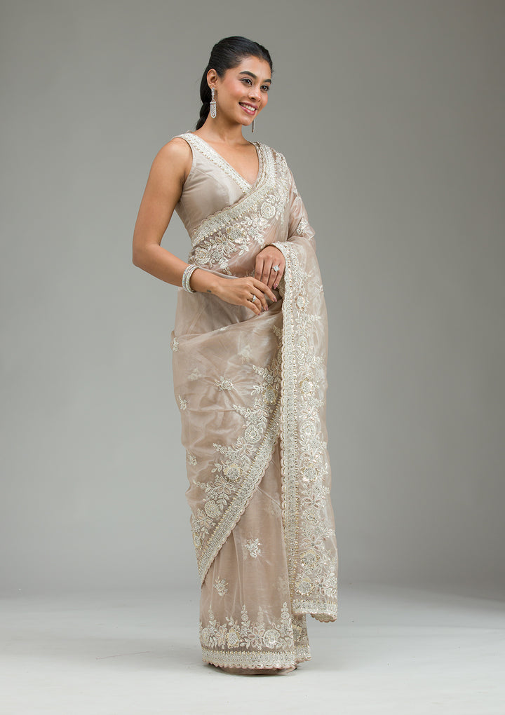 Beige Zariwork Tissue Saree