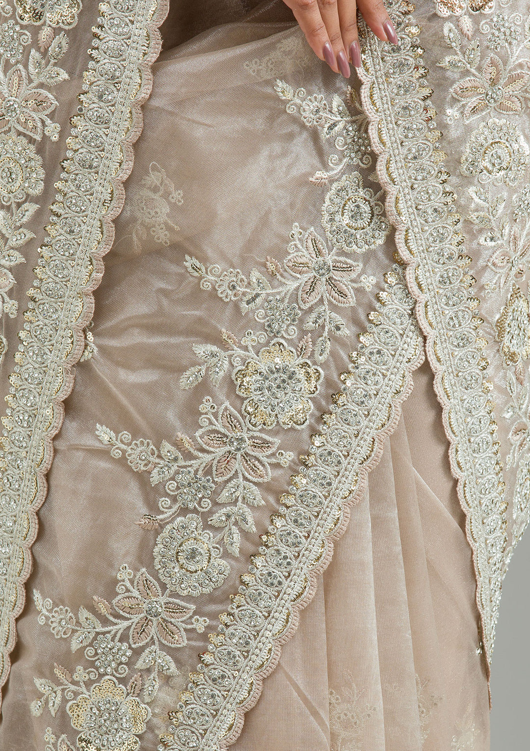 Beige Zariwork Tissue Saree