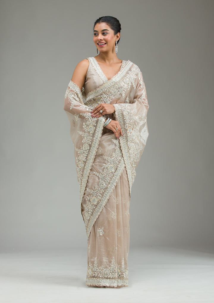 Beige Zariwork Tissue Saree
