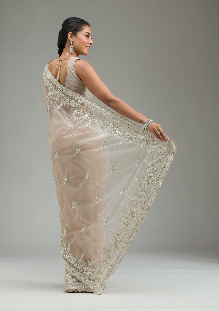 Beige Zariwork Tissue Saree
