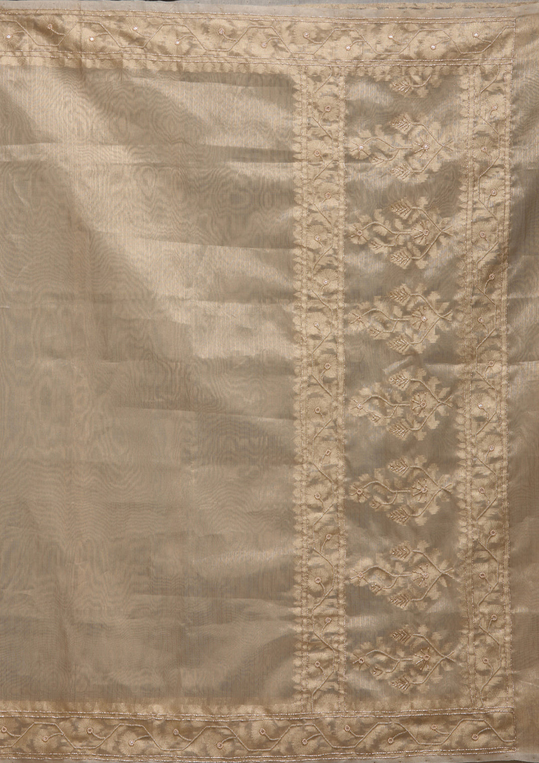 Beige Zariwork Tissue Saree