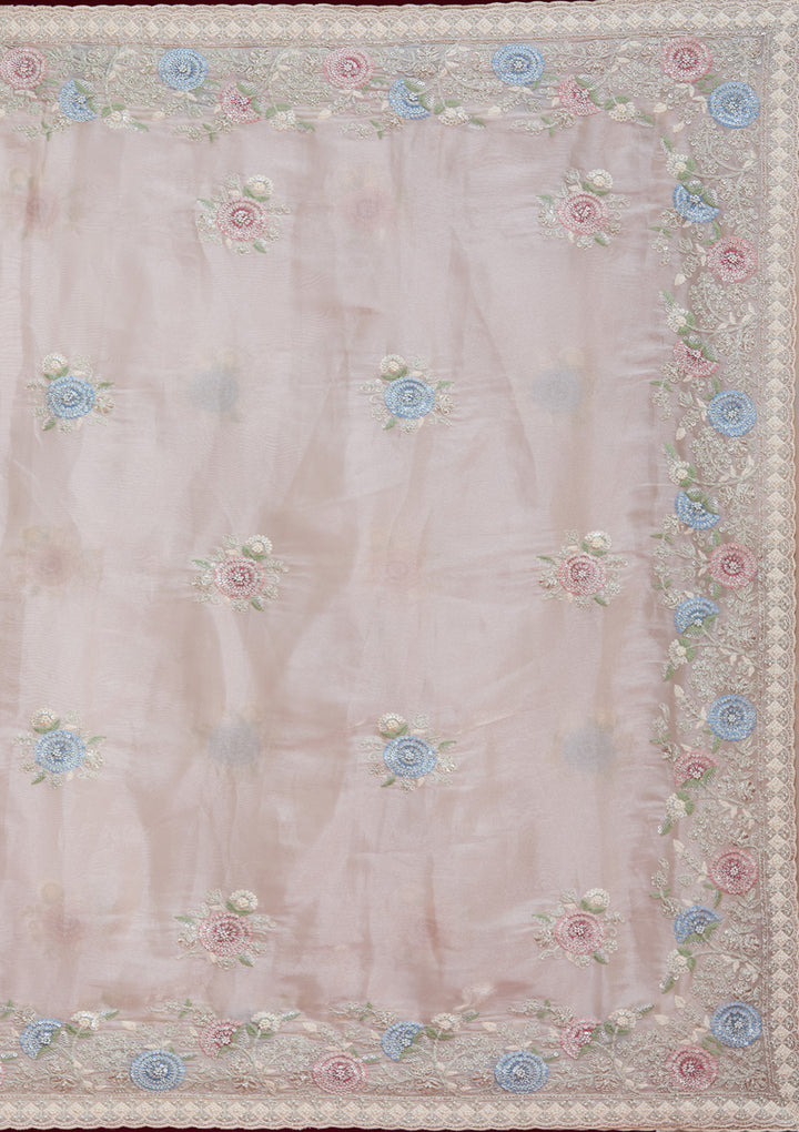 Beige Zariwork Tissue Saree