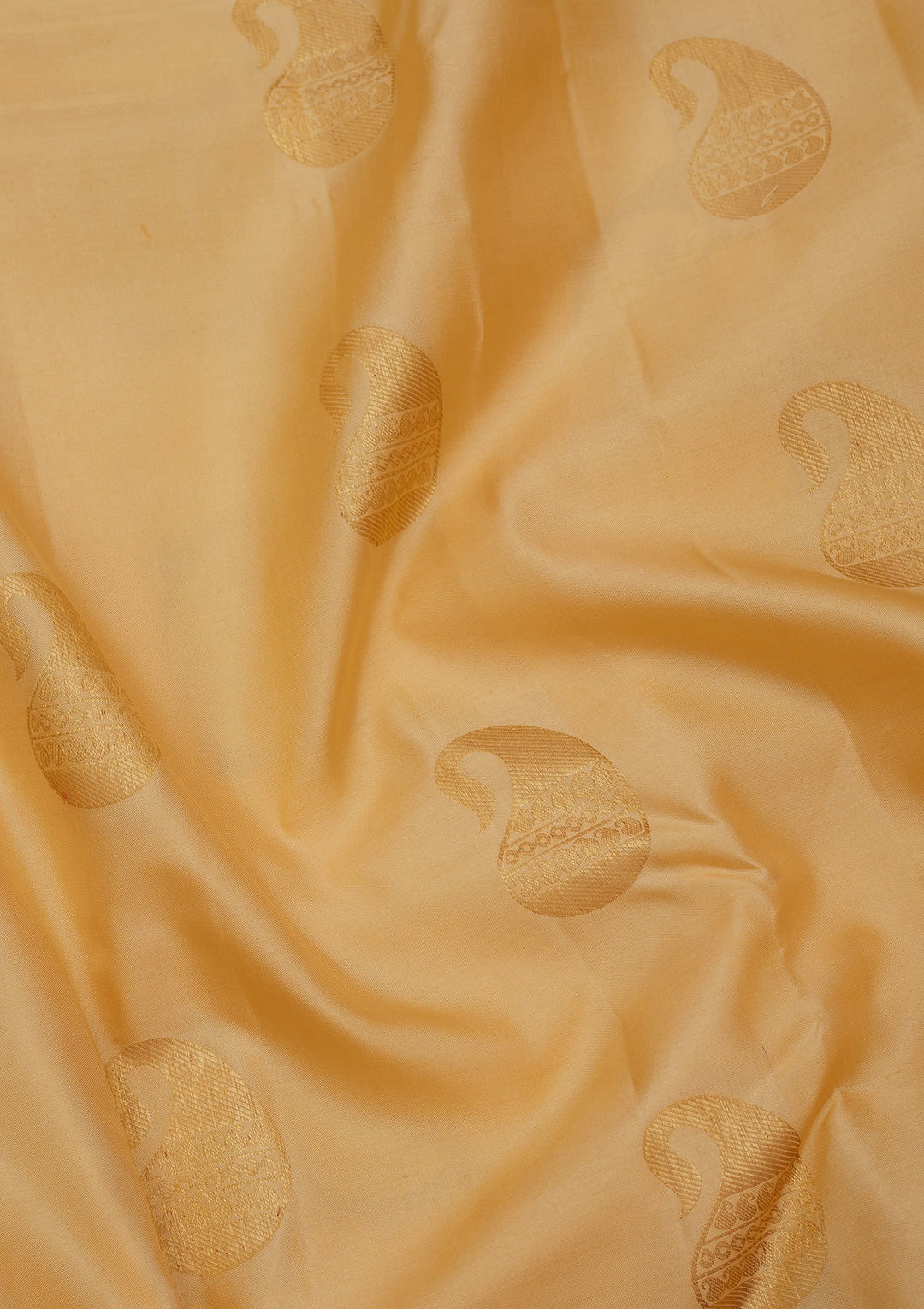 Cream Zariwork Pure Silk Saree