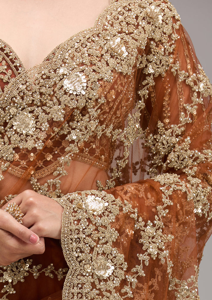 Rust Zariwork Net Saree