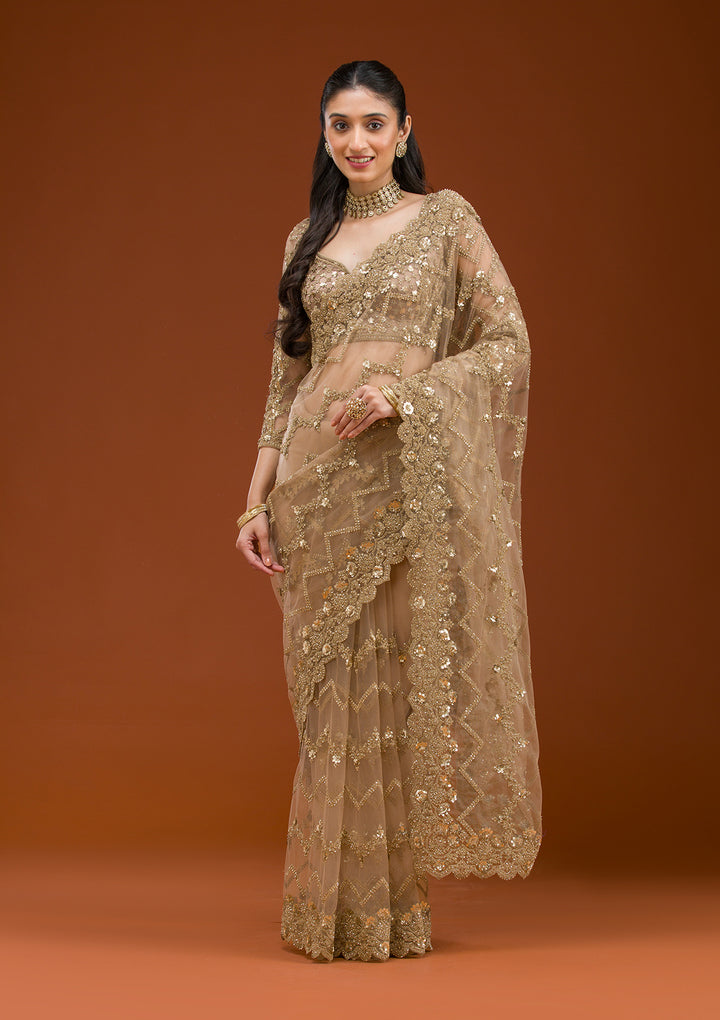 Beige Stonework Net Saree