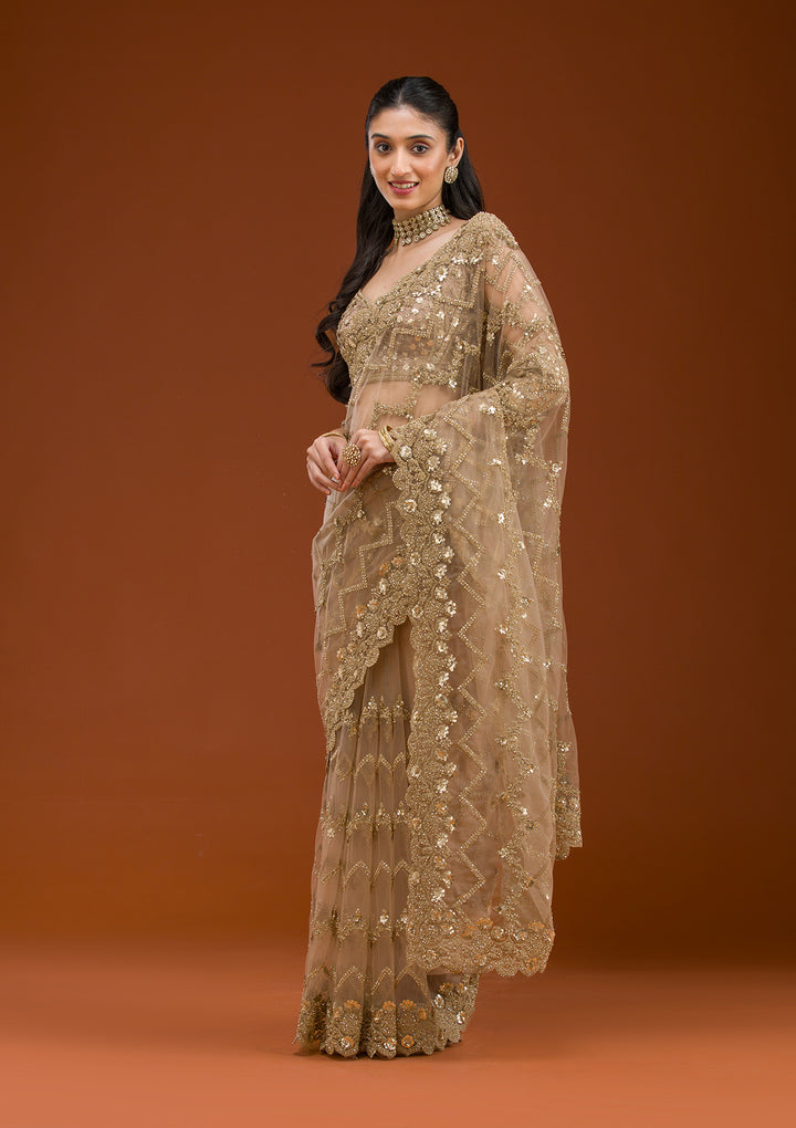 Beige Stonework Net Saree