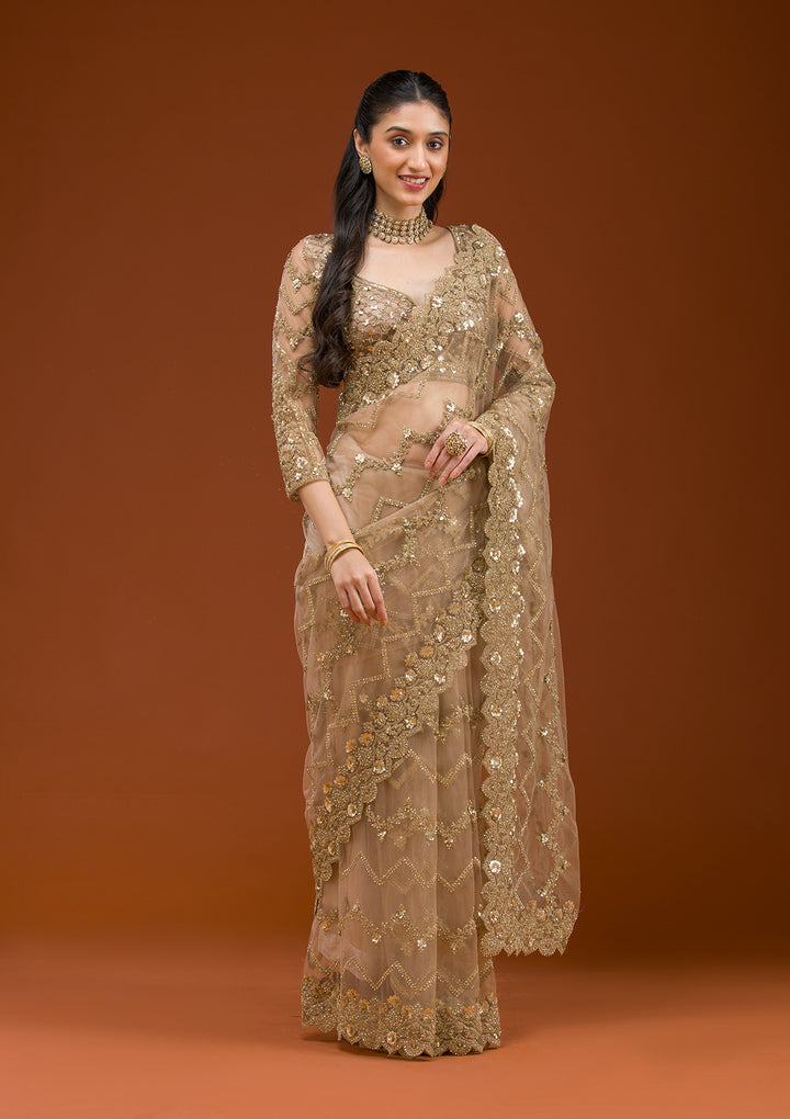 Beige Stonework Net Saree