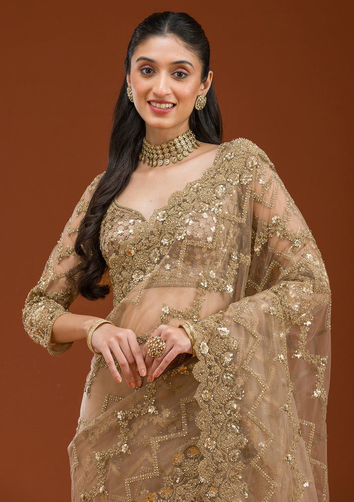 Beige Stonework Net Saree