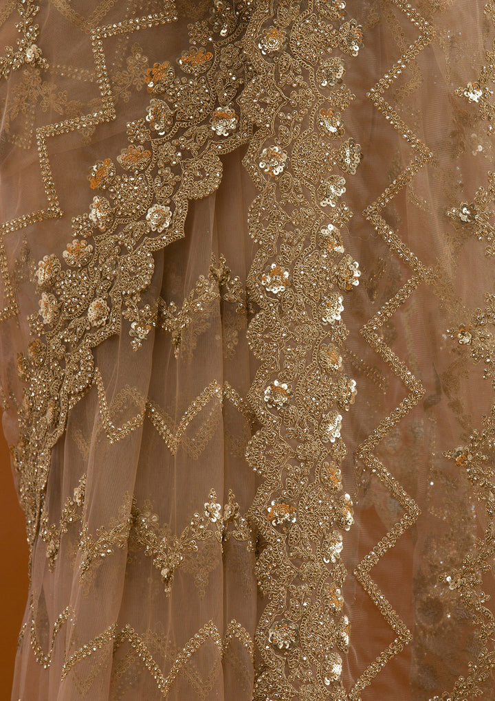 Beige Stonework Net Saree