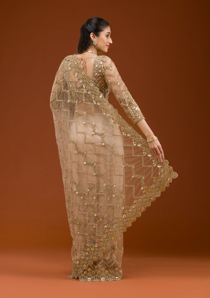 Beige Stonework Net Saree