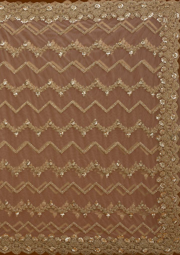 Beige Stonework Net Saree