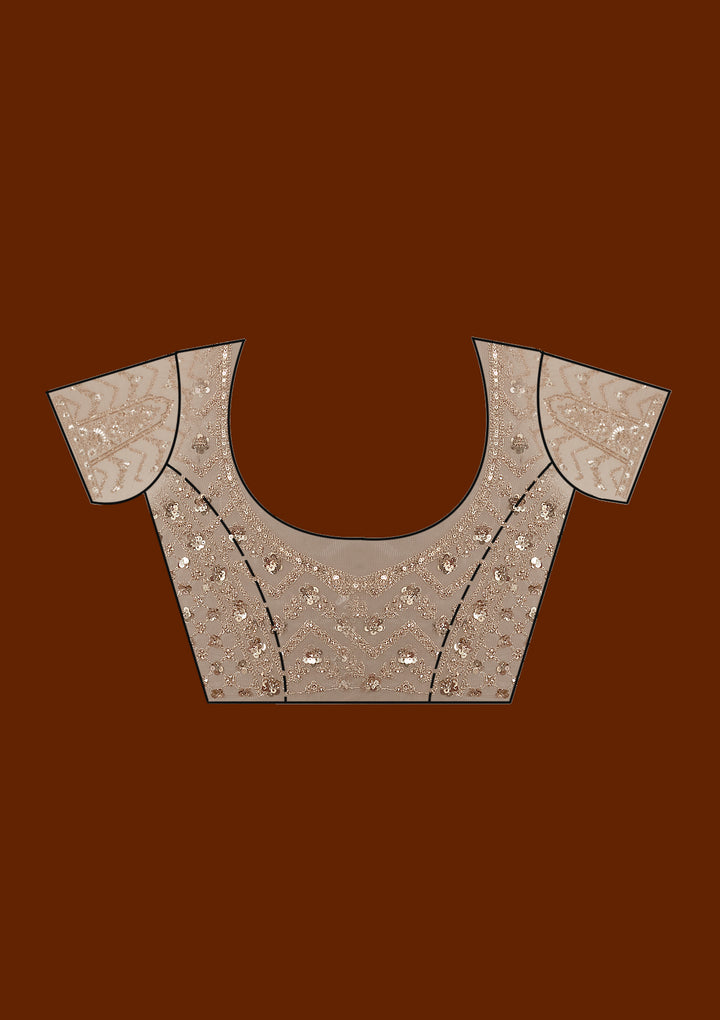 Beige Stonework Net Saree