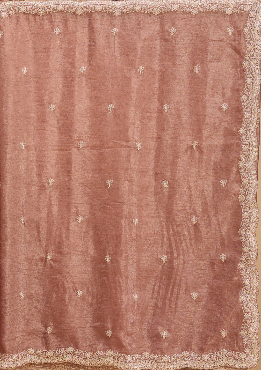 Brown Gold Zariwork Tissue Saree
