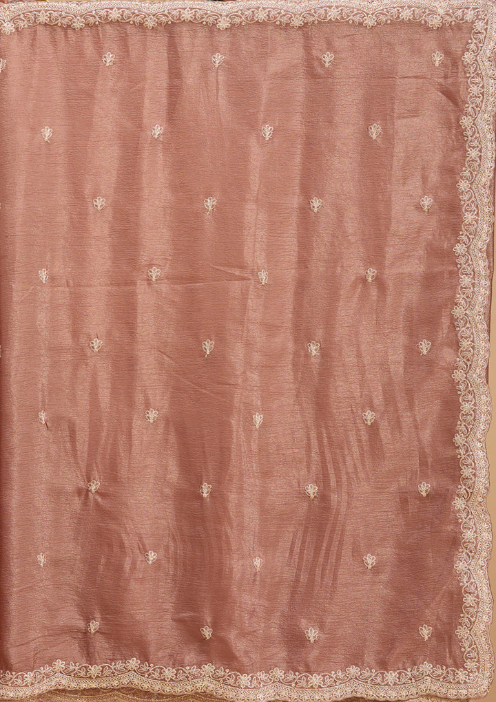 Brown Gold Zariwork Tissue Saree
